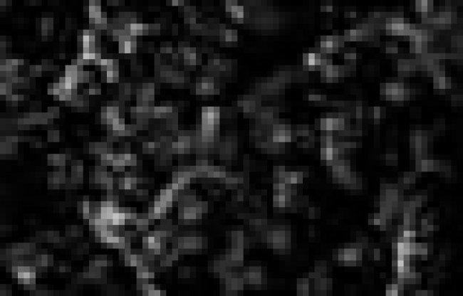 n-10-3103.jpg