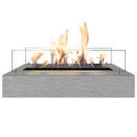  Bio Ethanol brander L (5820S RVS)