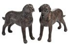  Hond staand