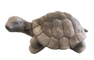  Schildpad
