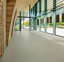 Forbo Marmoleum Vloeren Terra