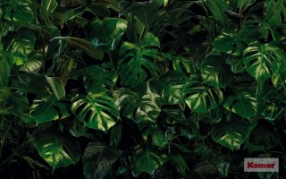  Tropical Wall P333-VD4